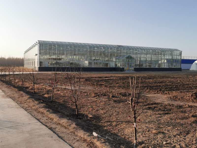 微信图片_202011021545044.jpg