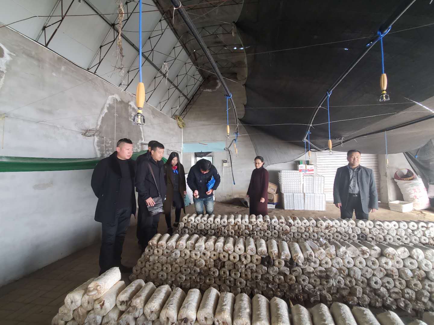 微信图片_2020110215450441.jpg