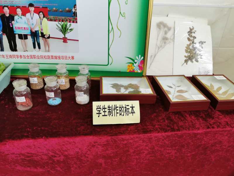 微信图片_2020110215450411.jpg