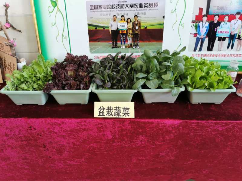 微信图片_2020110215450410.jpg